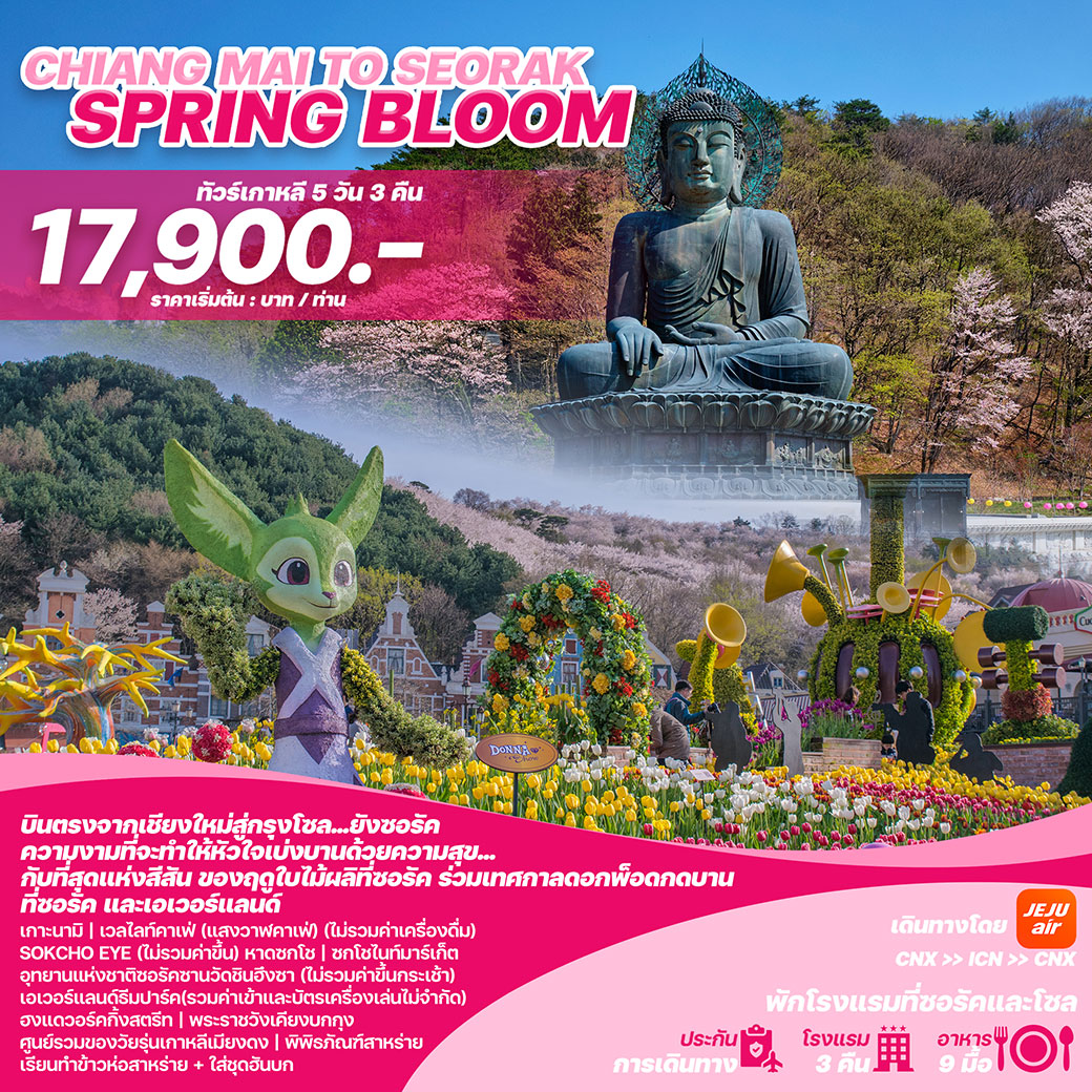 ทัวร์เกาหลี บินตรงเชียงใหม่ - โซล CHIANG MAI TO SEORAK SPRING BLOOM 5วัน 3คืน (7U)